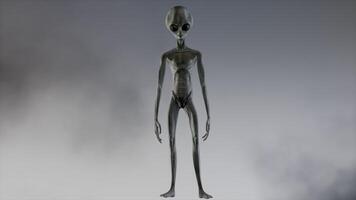 3D rendering. Scary gray alien stands and looks blinking on a dark smoky background. video