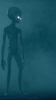 3D rendering. Scary gray aliens walk and look blinking on a dark smoky background. UFO futuristic concept. video