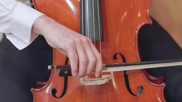 Close-up of musician skillfully playing the cello strings video