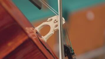 Musician playing cello bow on strings close up video