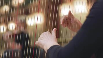 Skillful hands playing harp strings in close-up performance video