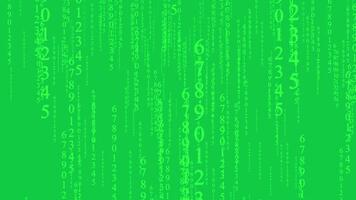 Streaming Digital Code. Animated green matrix background with glowing numbers. Binary Code Matrix Background With Numbers Moving Downward On Screen Chroma key - Green screen. Seamless loop video