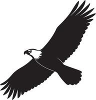 Eagle in flight powerful silhouette style, Soaring eagle clean black and white drawing vector