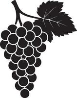 Bunch of grapes graphic black and white design, Cluster of grapes minimal sketch vector