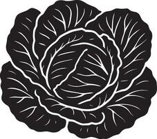 Cabbage black and white illustration elegant design, Leafy vegetable drawing minimal art vector