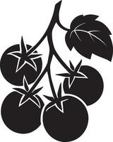 Tomatoes on a branch simple silhouette, Black and white tomato vine art vector