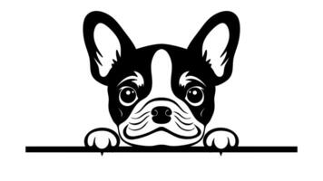 cartoon dog, black and white illustration of a French Bulldog head peeking playfully over a horizontal line, with its front paws visible, dog characteristic large ears, expressive eyes video