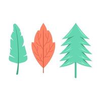 Collection of trees and leaves vector
