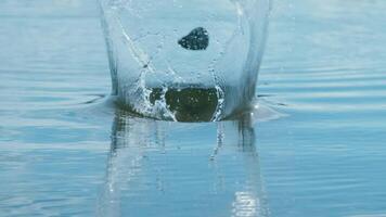 Captivating Water Splash in Calm Lake as Stone Hits the Surface on a Sunny Day video