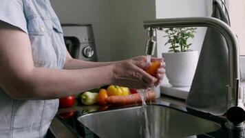 Washing Fresh Colorful Vegetables in a Modern Kitchen Sink with Natural Light and Clean Ambiance video