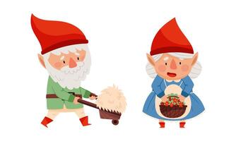 Gnome daily routine activities. Cute scandinavian gnomes in red caps with wooden wheelbarrow and basket of flowers cartoon illustration vector
