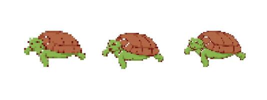 Mosaic pixel art turtle icon with retro sprite style in three different angles vector