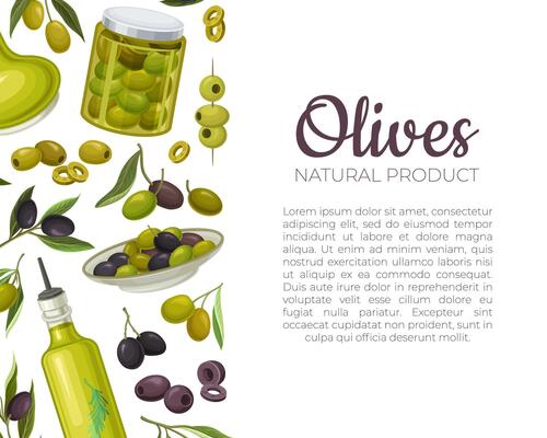 Olives banner template with place for text. Organic natural product, brochure, packaging design