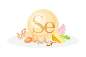 Sources of Selenium mineral. Egg, shrimp, mushroom, cheese, peas healthy nutrition food. Mineral vitamin supplement illustration vector