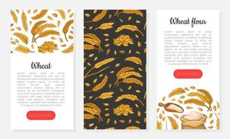Wheat web banners set. Wheat flour, organic grain products mobile app illustration vector