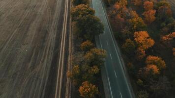 An aerial view of an evening autumn road without cars. video