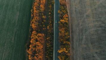 Aerial view of a lone car driving on a rural highway in the evening. video
