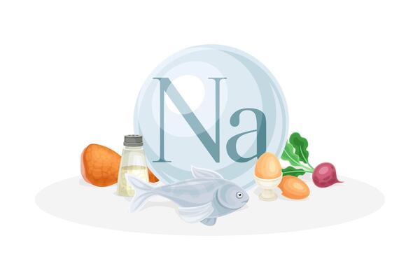 Sources of Na mineral. Salt, egg, reddish, fish healthy nutrition food. Mineral vitamin supplement illustration