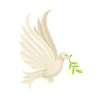 Peace dove with olive branch. White pigeon flying with green twig in its beak illustration vector