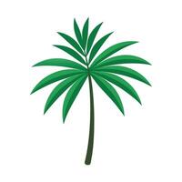 palm leaf white background .eps vector
