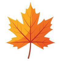 realistic maple leaf art design vector