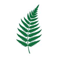 fern leaf art white background vector