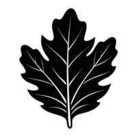 oak leaf realistic Leaf Icon white background vector