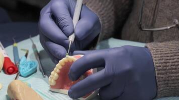 Dental training with tooth model and tools. Close-up of gloved hands practicing dental procedures on an artificial jaw model using precision instruments during video