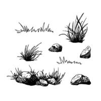 Various tufts of grass and rocks, stones. Black and white hand drawn illustrations. Sketch with fine lines and shading. The natural elements isolated on white. For cards clip art packages. vector