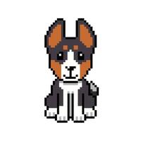 Pixel art a basenji dog in retro style for design. vector