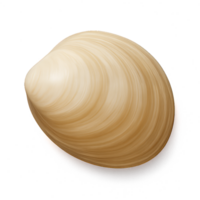 Delicate 3D Clam Shell Render with Smooth Surface and Simple Design png