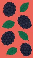 Flat illustration of blackberries with green leaves on a coral red background - fresh summer berries in minimal cartoon style vector