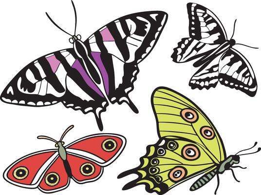 Exotic Butterfly and Moth Clipart Collection