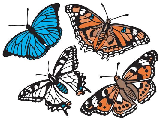 Colorful Butterfly Clipart Set - Hand Drawn Insect Illustrations