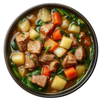 Hearty Beef and Vegetable Stew in Bowl on Transparent Background Image png