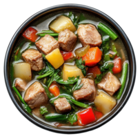 Bowl of Stew with Meat and Vegetables on a Transparent Image png