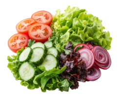 Fresh Salad Ingredients with Lettuce, Tomato, Cucumber and Red Onion on a Transparent Background png