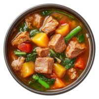Hearty Beef and Vegetable Stew in a Bowl on a Transparent Image png