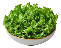 Fresh Green Leaf Lettuce in Bowl on Transparent Background Image png