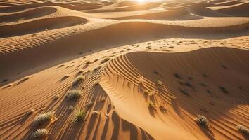 Sand Dunes Rolling Landscape at Sunset with Warm Light photo