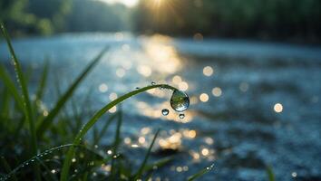 Water Droplet on Green Grass with Bokeh Background at Sunrise photo