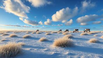 Grazing Animals in Snowy Field Under Vibrant Blue Sky with Clouds photo