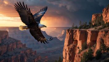 Eagle Flying Over Canyon at Sunset with Majestic Cliff Views photo