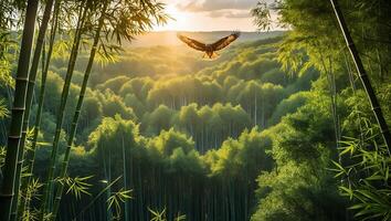 Eagle Soaring Through Bamboo Forest at Sunrise with Sun Rays photo