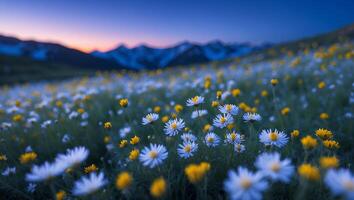 Flower Meadow with Distant Mountains at Dusk Serene Nature Scene photo