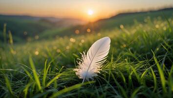 White Feather Resting on Grass at Sunrise with Dew Drops photo