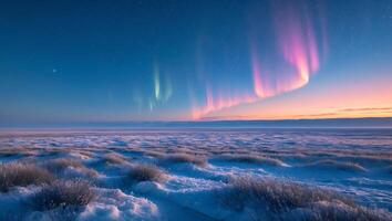 Observing Aurora Borealis Over a Snowy Plain Under a Starry Sky photo