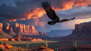 Eagle Soaring Over the Desert Landscape at Sunset with Dramatic Sky photo