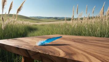 Blue Feather on Wooden Table with Green Field Background photo
