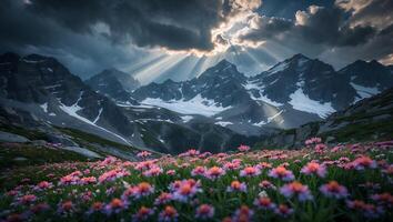 Blooming Flowers in Mountain Valley with Sun Rays and Clouds photo